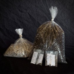 Lophophora-San Pedro Aussaat-Set, 400 Korn