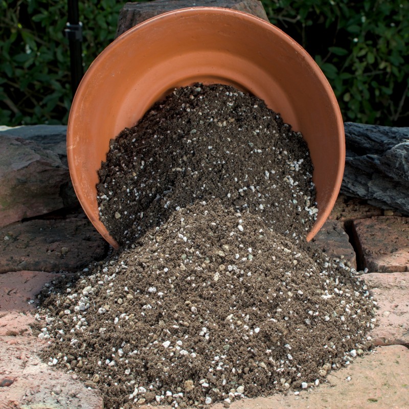 Aussaat-Erde Lophophora 5 Liter Aussaat-Erde Lophophora 5 Liter
