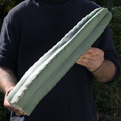 Cordobensis *Einzelstück* 50cm