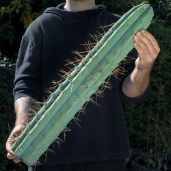 Big-Bridgesii *Einzelstück*